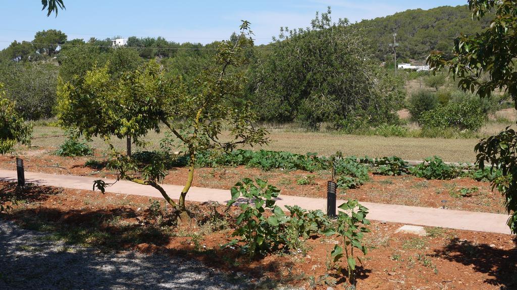 Can Gat Sant Carles de Peralta Room photo
